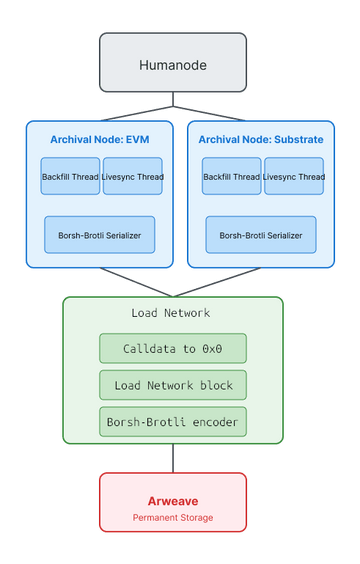 Load x Humanode: Faster Network Sync Through Permanent Storage | Blog ...